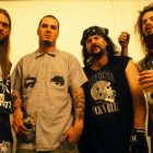 Pantera-201008a