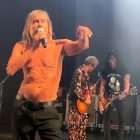 Iggy-Pop-230428a